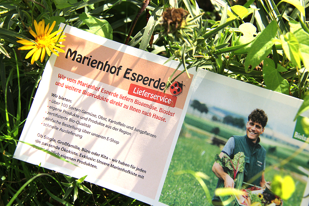 flyer_gras Marienhof Flyer Design
